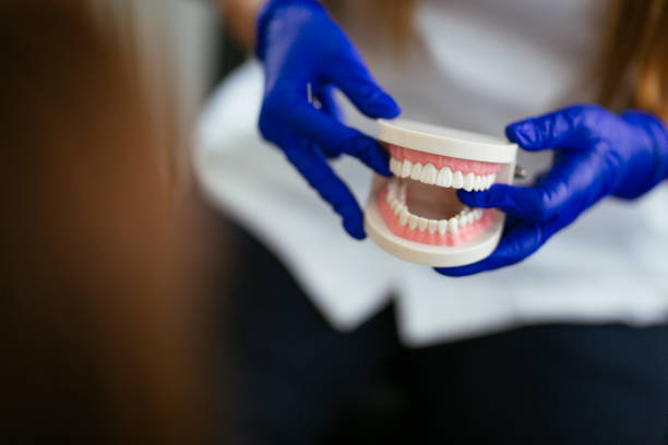 Trusted Greene, RI Dental Services Experts